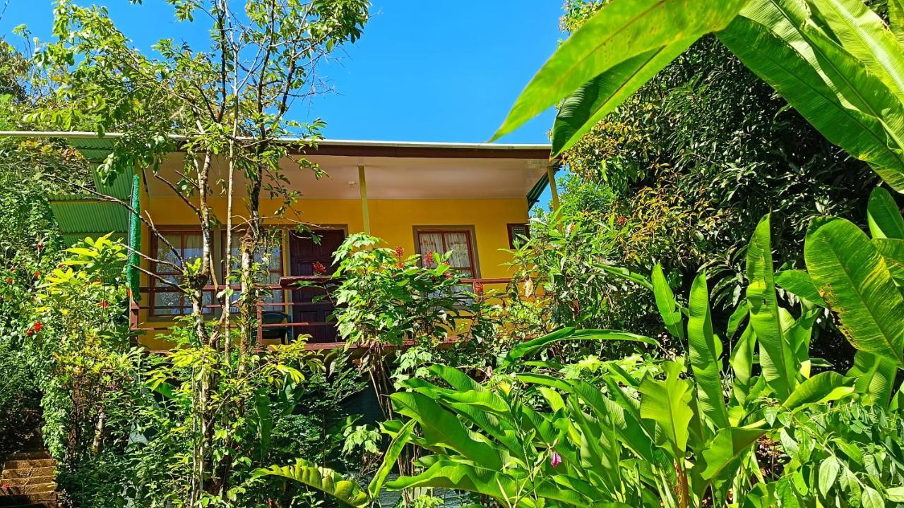 Cabanas Tico Gringo Драке Экстерьер фото